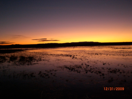 Dawn in New Mexico